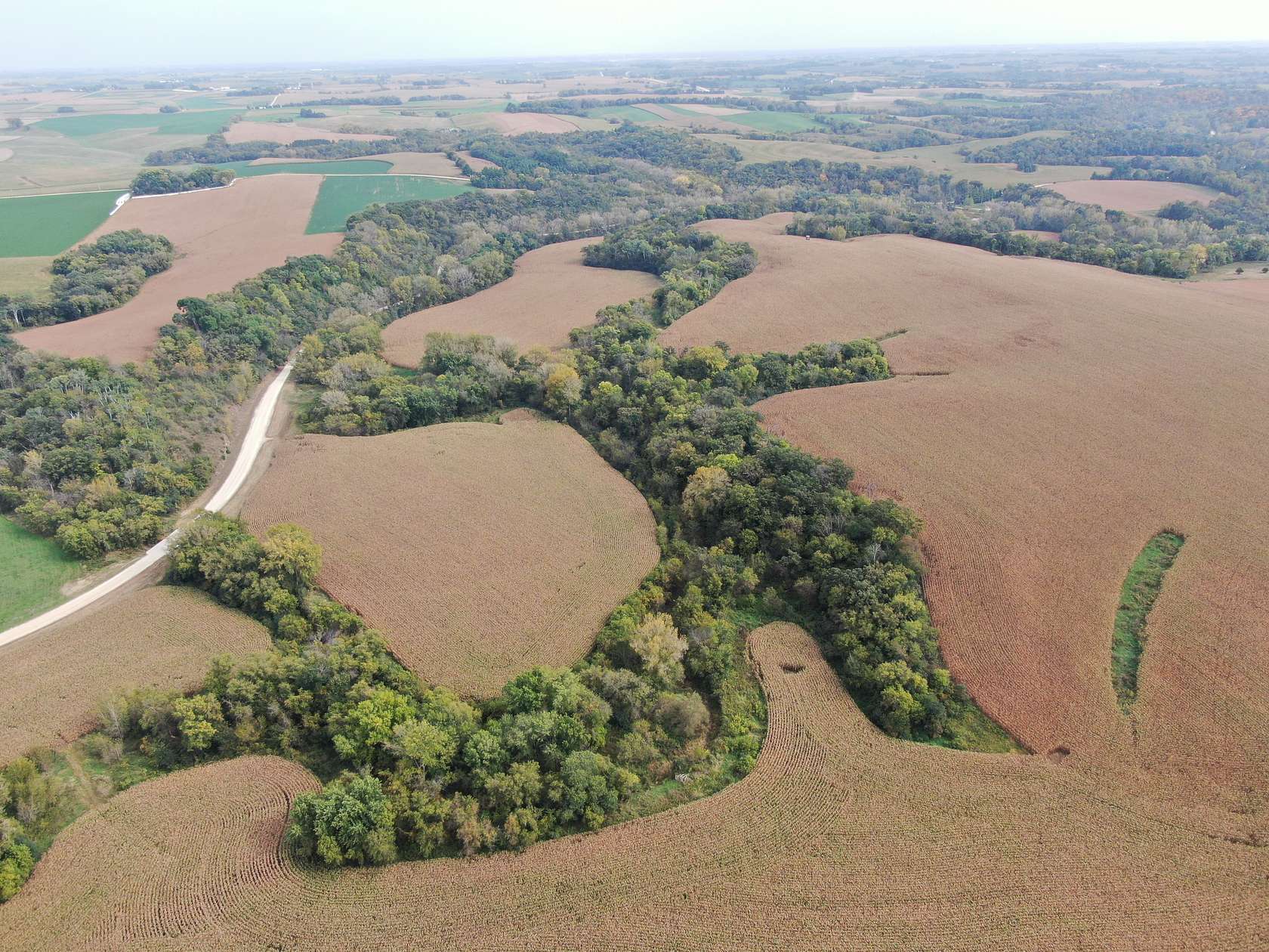 178 Acres of Land for Sale in Zumbro Falls, Minnesota