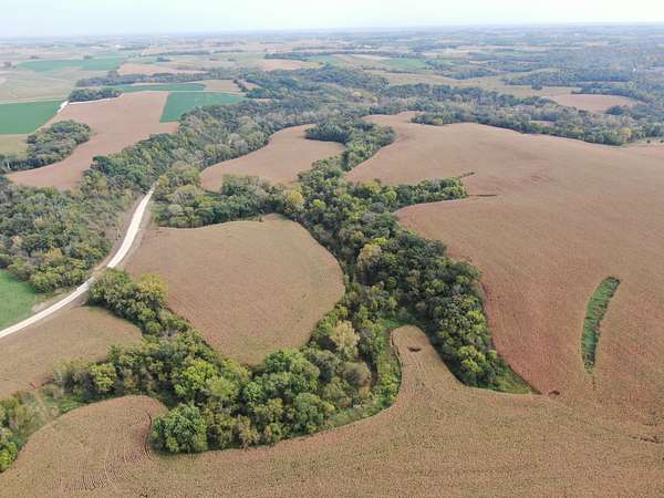 178 Acres of Land for Sale in Zumbro Falls, Minnesota
