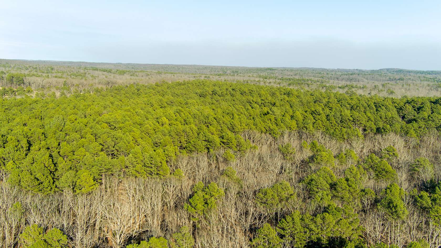 20 Acres of Land for Sale in Salem, Missouri