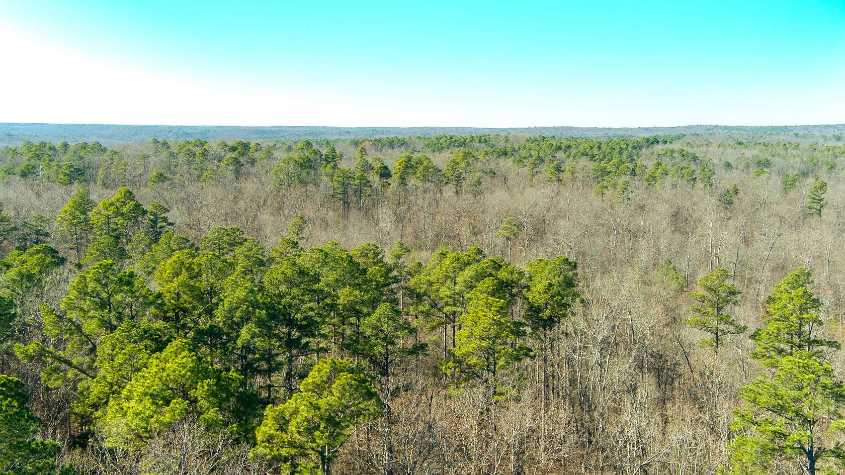 23 Acres of Land for Sale in Salem, Missouri