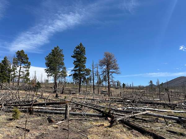 2 Acres of Land for Sale in Fort Garland, Colorado