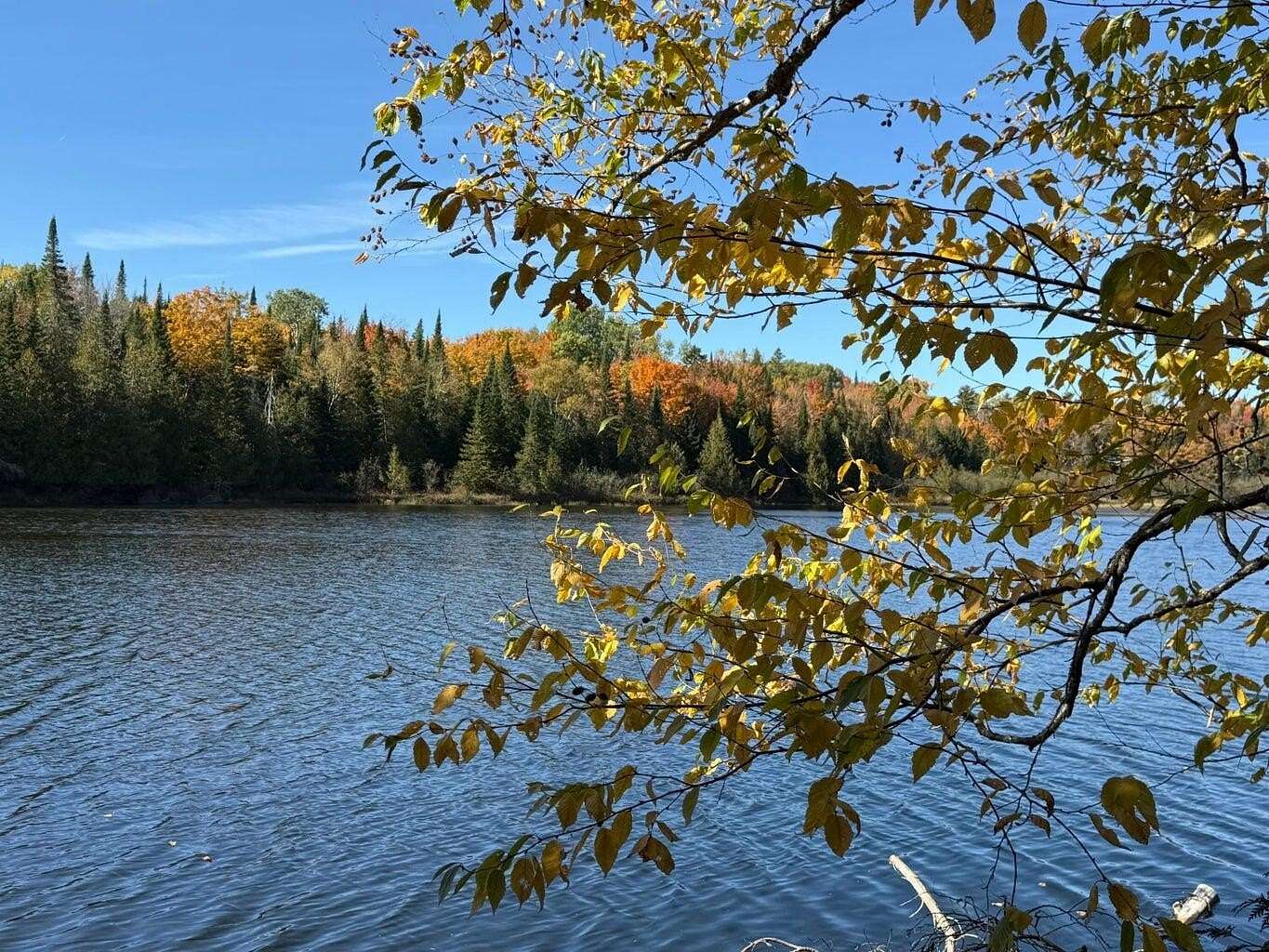 2.33 Acres of Land for Sale in Littleton, Maine