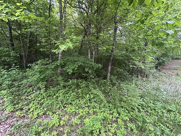 3.27 Acres of Residential Land for Sale in Jamestown, Tennessee
