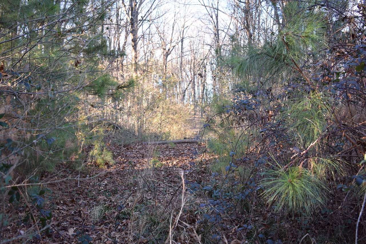 7 Acres of Residential Land for Sale in Cleveland, Tennessee