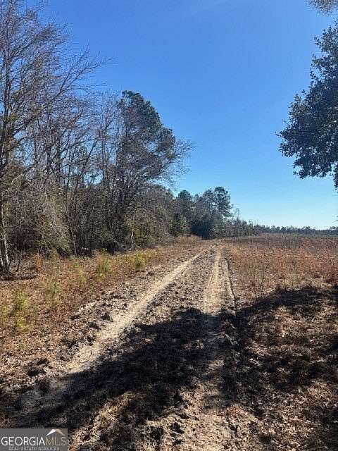 53.3 Acres of Recreational Land for Sale in Lyons, Georgia