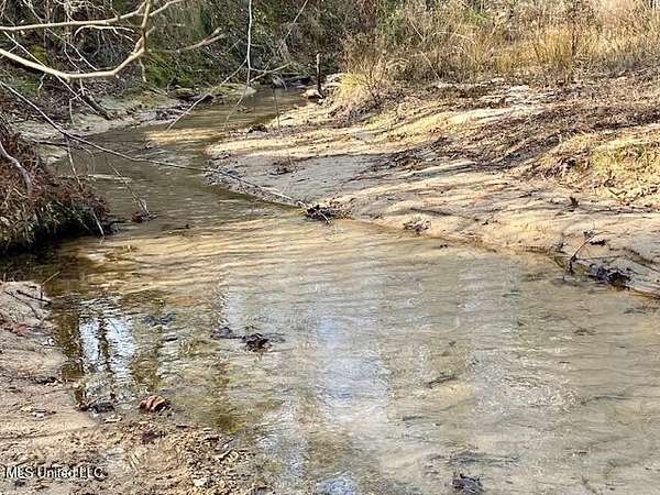 791 Acres of Recreational Land & Farm for Sale in Woodville, Mississippi