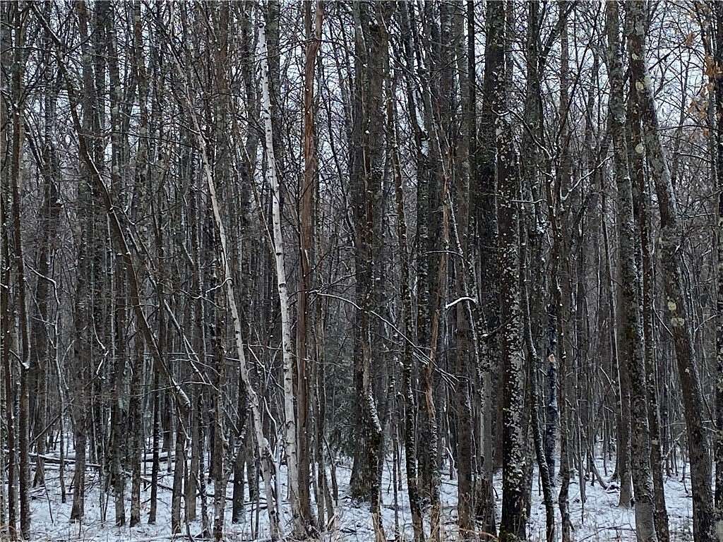 80 Acres of Recreational Land for Sale in Herbster, Wisconsin