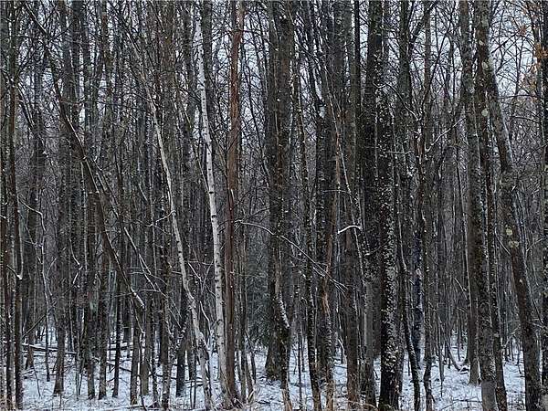 80 Acres of Recreational Land for Sale in Herbster, Wisconsin