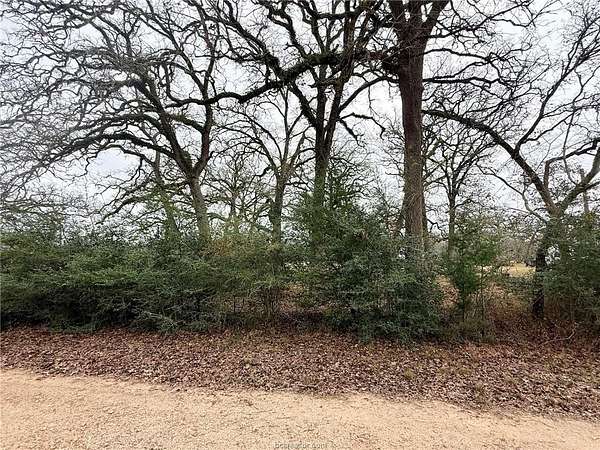 5.14 Acres of Residential Land for Sale in Bryan, Texas