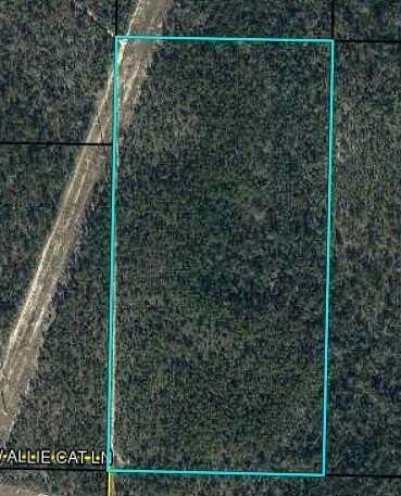 20 Acres of Land for Sale in Clarksville, Florida