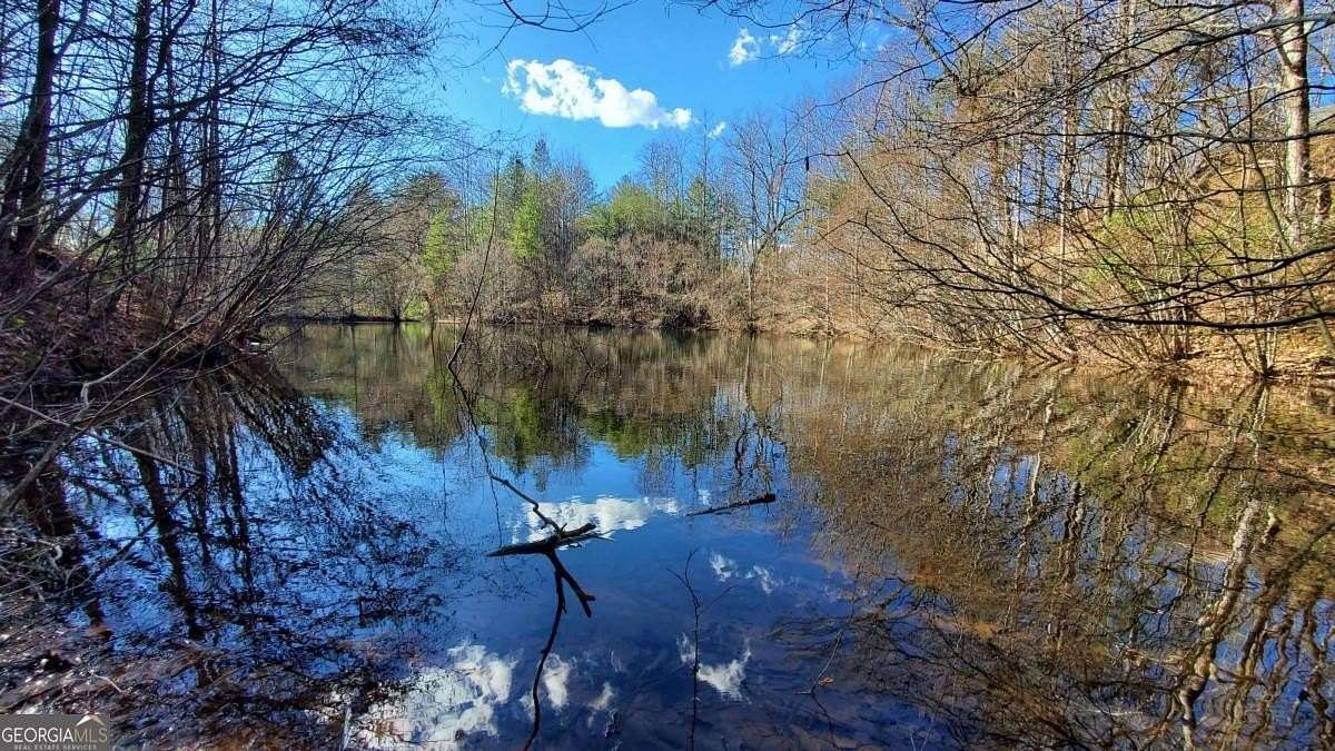 51.6 Acres of Land for Sale in Cherry Log, Georgia