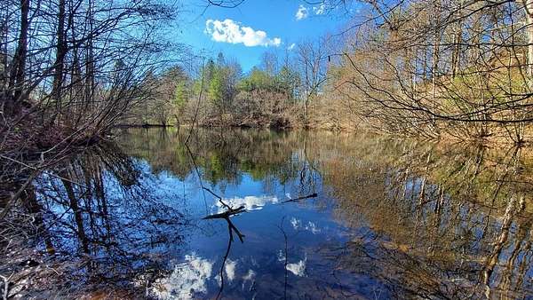 51.6 Acres of Land for Sale in Cherry Log, Georgia