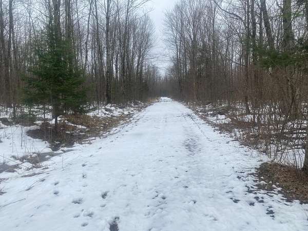 162 Acres of Recreational Land for Sale in Merrill, Wisconsin