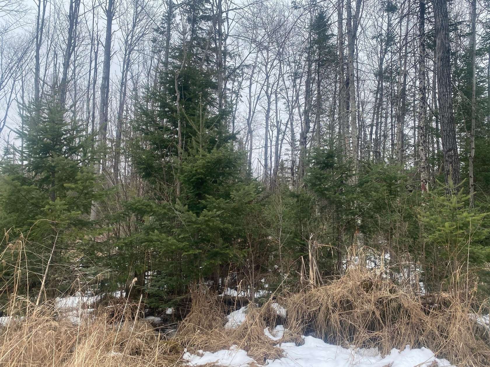 74.7 Acres of Recreational Land for Sale in Merrill, Wisconsin