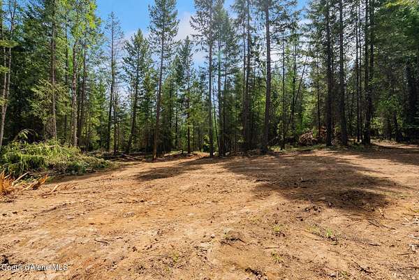3 Acres of Residential Land for Sale in Sandpoint, Idaho
