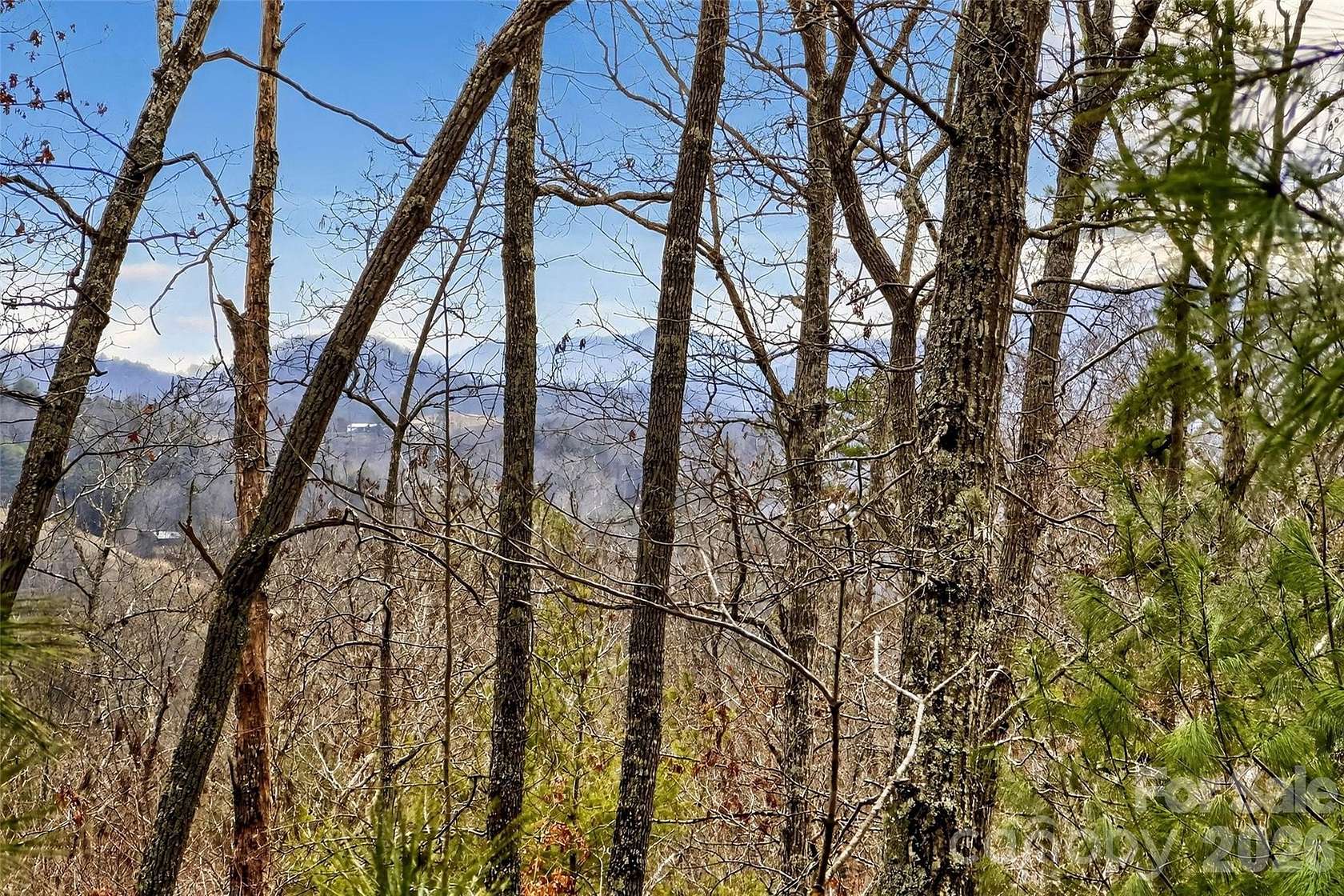 2 Acres of Land for Sale in Marshall, North Carolina