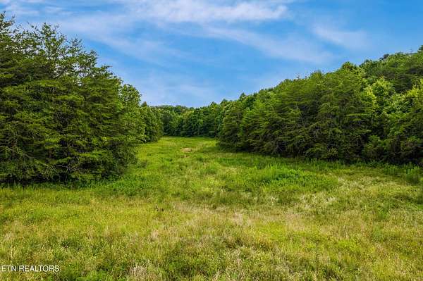 12.9 Acres of Land for Sale in Kodak, Tennessee