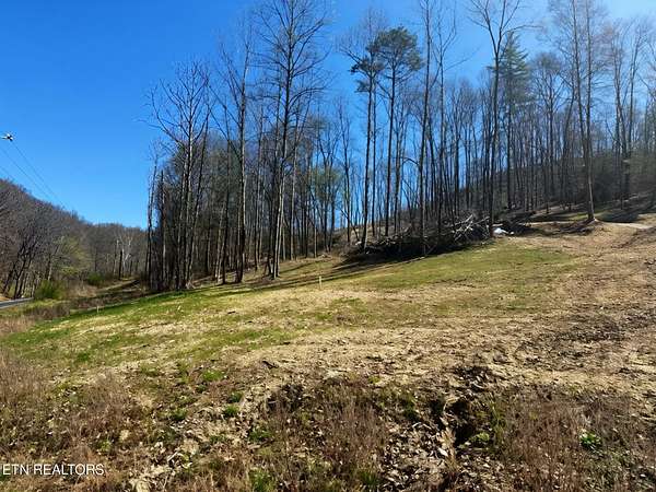 17 Acres of Recreational & Residential Land for Sale in La Follette, Tennessee