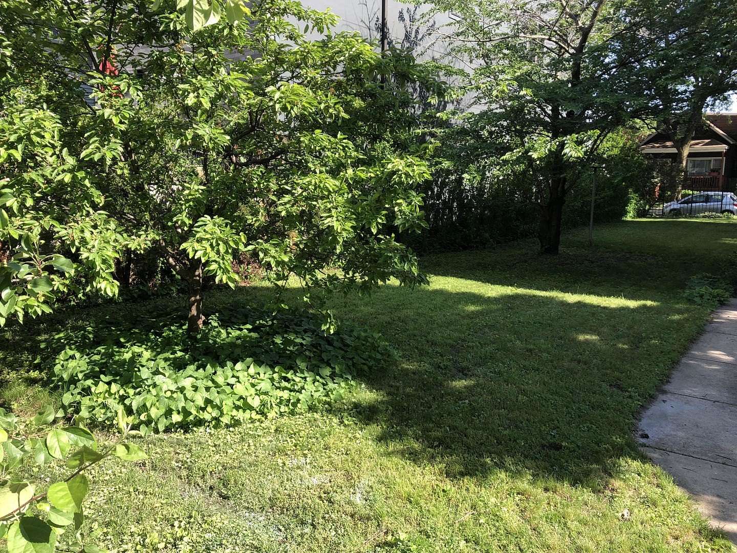 0.01 Acres of Residential Land for Sale in Chicago, Illinois