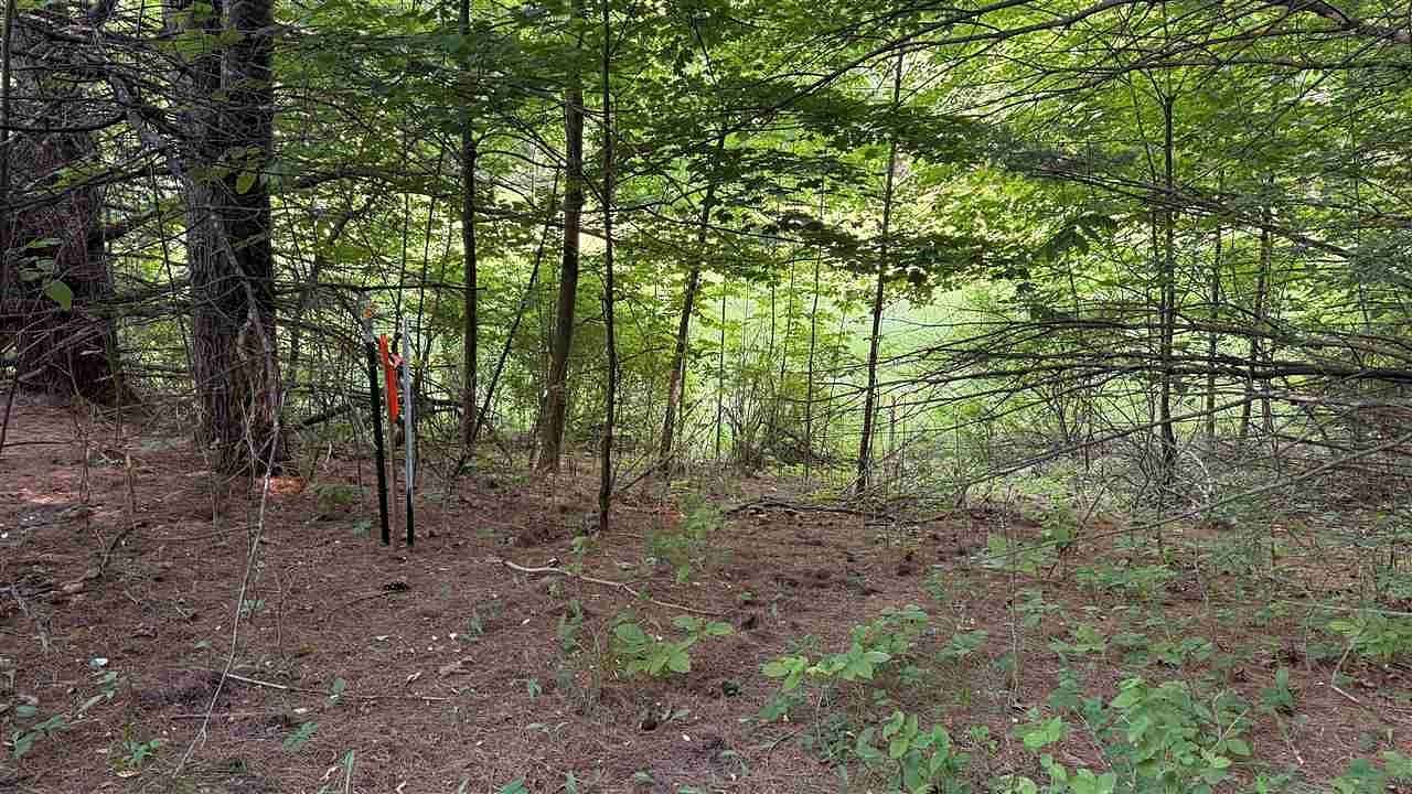 6.5 Acres of Residential Land for Sale in Ellsworth, Michigan