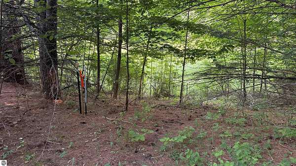 6.5 Acres of Residential Land for Sale in Ellsworth, Michigan