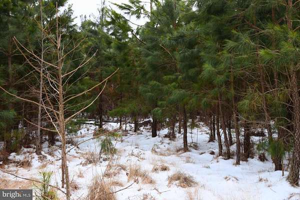 25.3 Acres of Recreational Land for Sale in Saint Inigoes Shores, Maryland