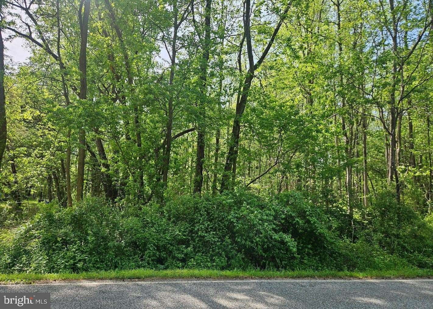 5 Acres of Residential Land for Sale in Woodstown, New Jersey
