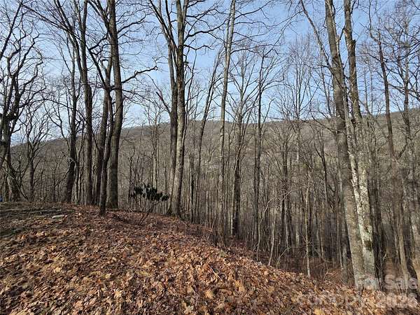 9 Acres of Land for Sale in Maggie Valley, North Carolina