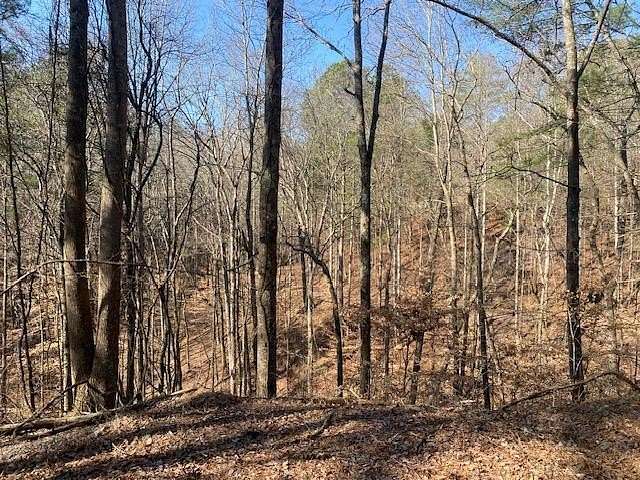 5.3 Acres of Residential Land for Sale in Ranger, Georgia