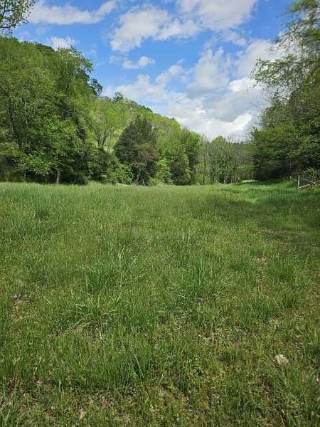 49 Acres of Recreational & Residential Land for Sale in Elmwood, Tennessee