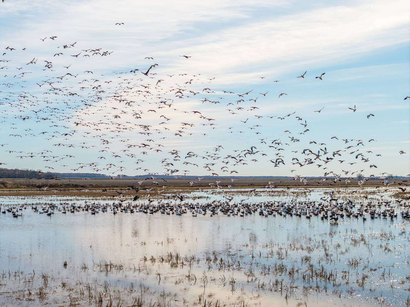 328 Acres of Recreational Land & Farm for Auction in Brinkley, Arkansas