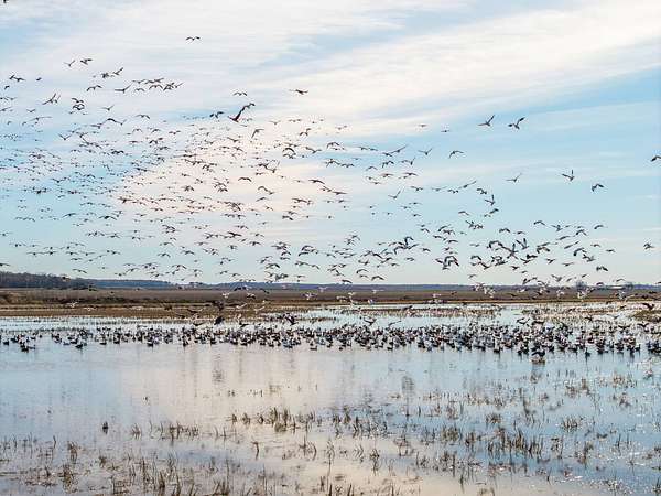 328 Acres of Recreational Land & Farm for Auction in Brinkley, Arkansas
