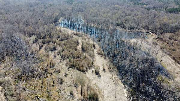 290 Acres of Land for Sale in Merryville, Louisiana