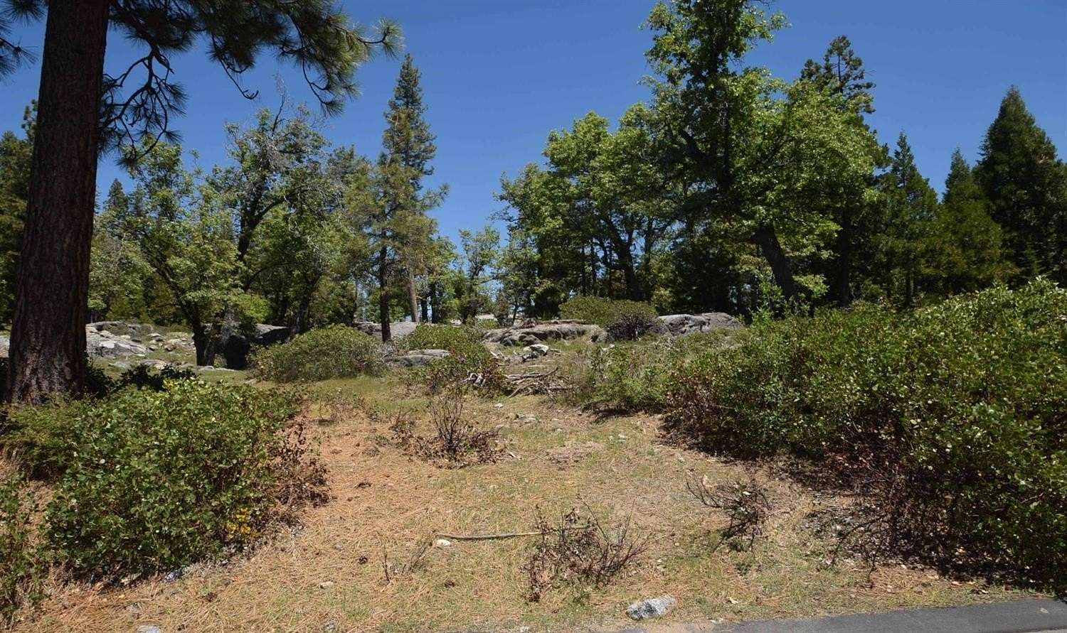 0.61 Acres of Residential Land for Sale in Shaver Lake, California