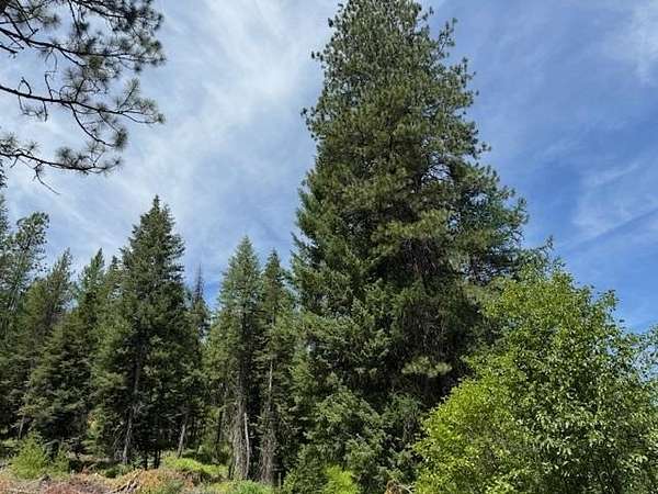 30 Acres of Recreational Land for Sale in Springdale, Washington