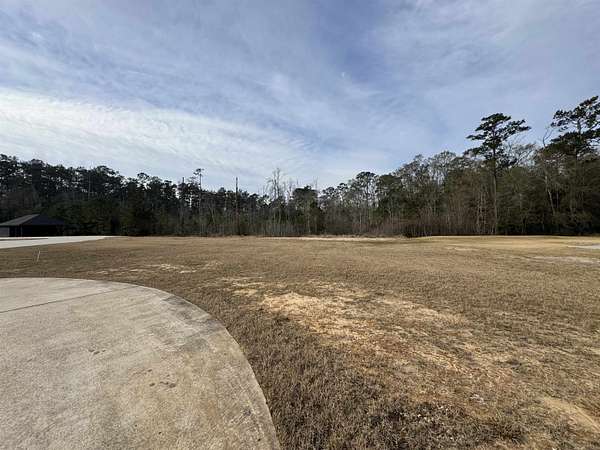 0.46 Acres of Residential Land for Sale in Vidor, Texas