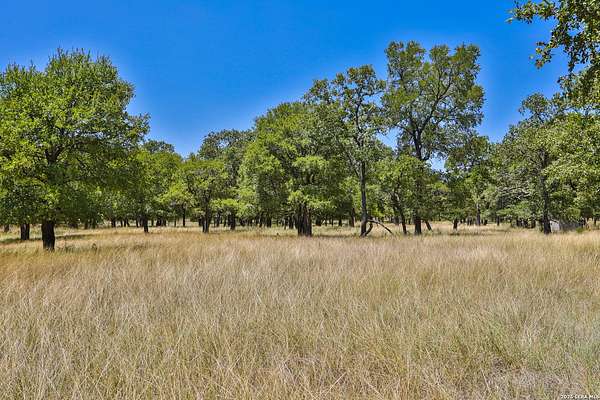 16 Acres of Land for Sale in Bulverde, Texas