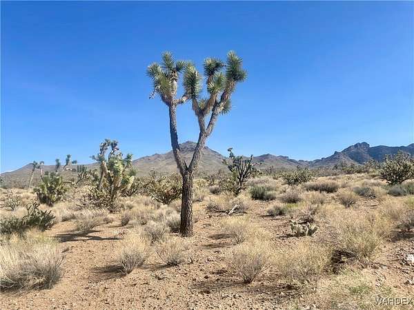 2.5 Acres of Land for Sale in Dolan Springs, Arizona