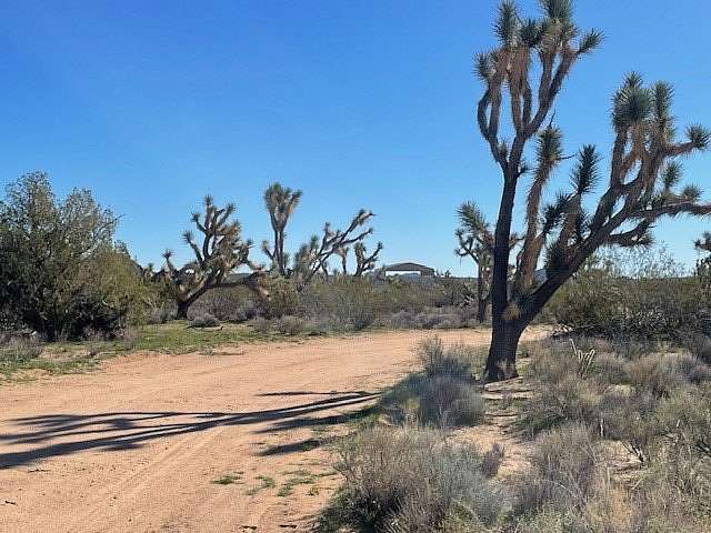 40 Acres of Recreational Land for Sale in Yucca, Arizona