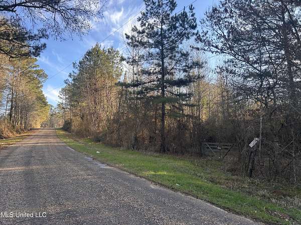 36.8 Acres of Recreational Land for Sale in Wesson, Mississippi