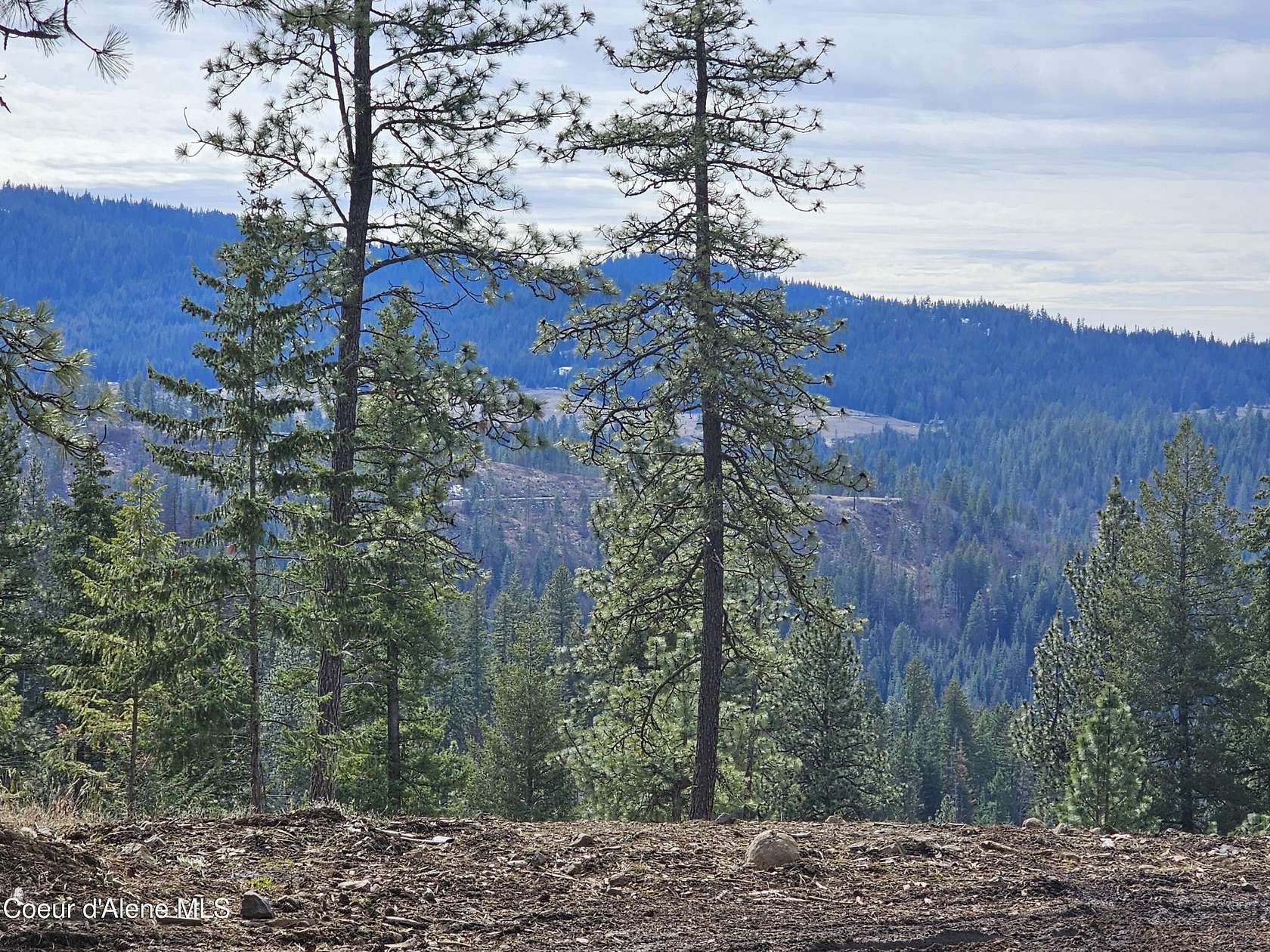 10 Acres of Residential Land for Sale in Harrison, Idaho