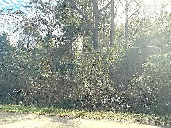 0.56 Acres of Residential Land for Sale in Woodville, Florida