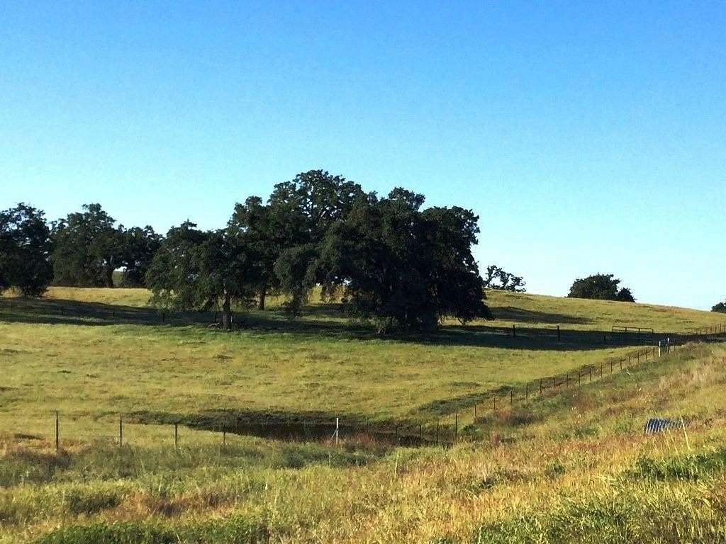 104 Acres of Agricultural Land for Sale in Madera, California