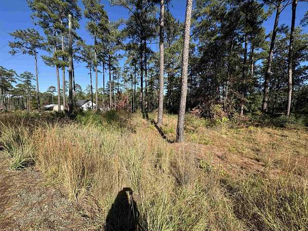 1.14 Acres of Residential Land for Sale in Brookeland, Texas