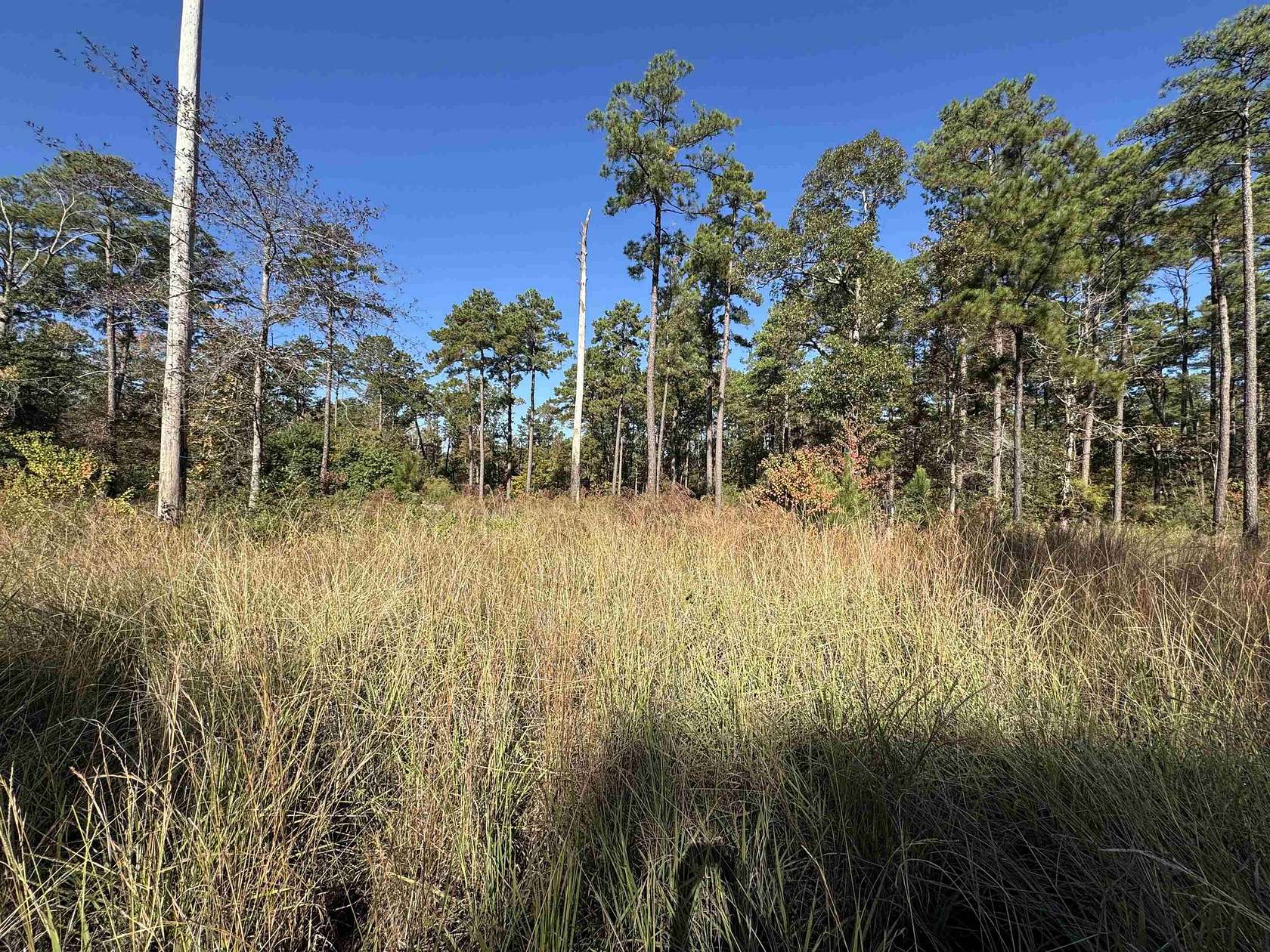 1.14 Acres of Residential Land for Sale in Brookeland, Texas