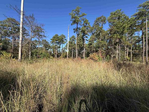 1.14 Acres of Residential Land for Sale in Brookeland, Texas