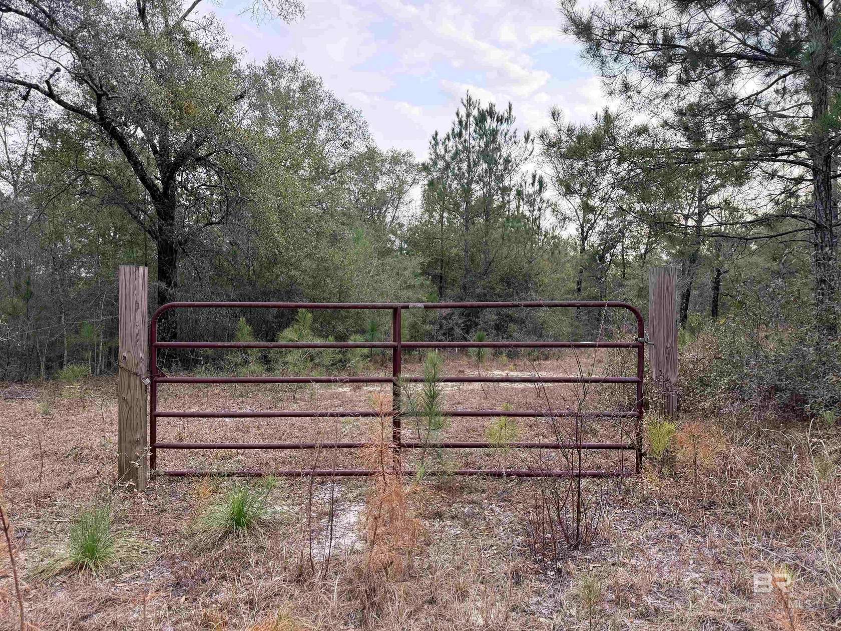 4.78 Acres of Residential Land for Sale in Wilmer, Alabama