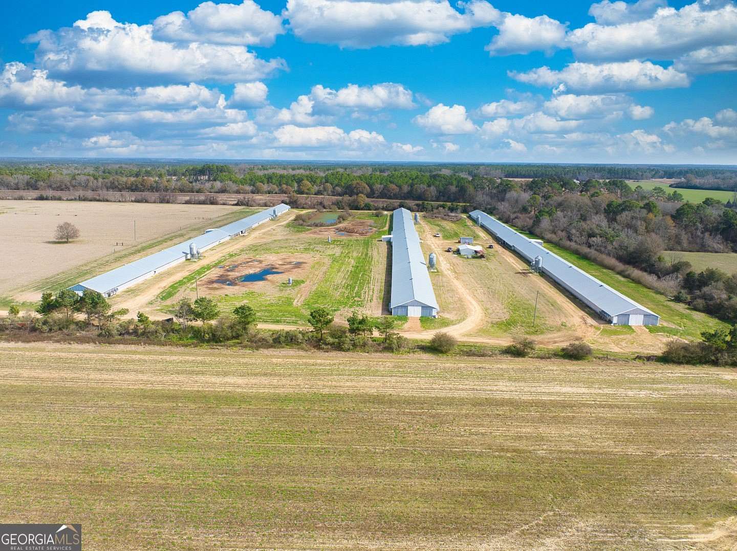 20 Acres of Agricultural & Residential Land for Sale in Moultrie, Georgia