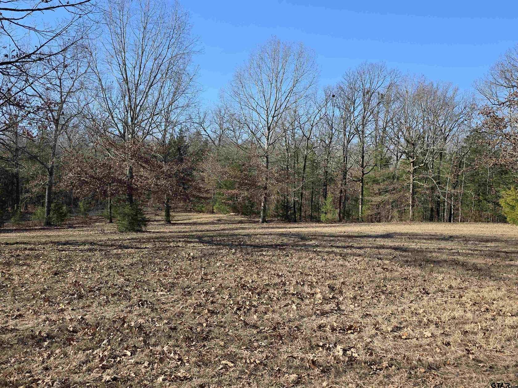 15 Acres of Land for Sale in Omaha, Texas