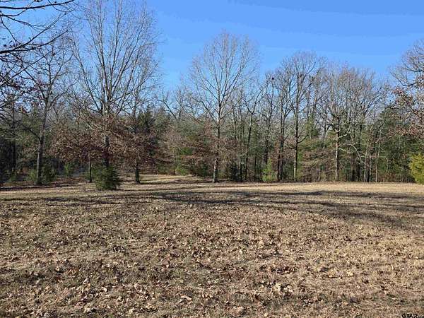 15 Acres of Land for Sale in Omaha, Texas